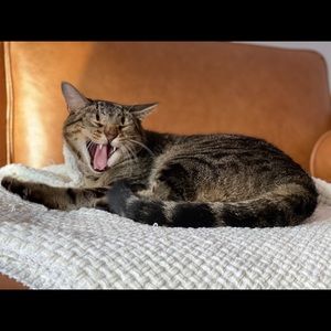 Meet your Posher, Siobhan